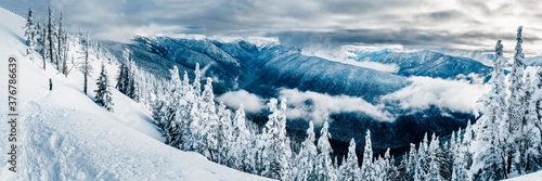 Snowcapped mountains with trees in Hurricane Ridge in Olympic National Park