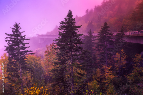 Linn Cove Viaduct in fog on Blue Ridge Parkway during sunrise