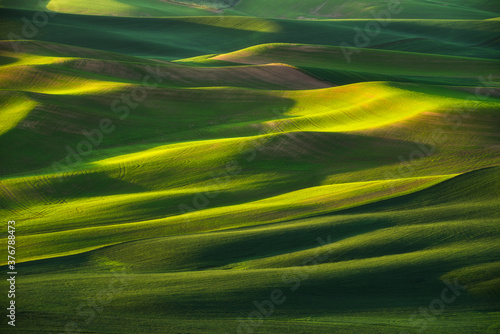 View of green hills during sunset photo