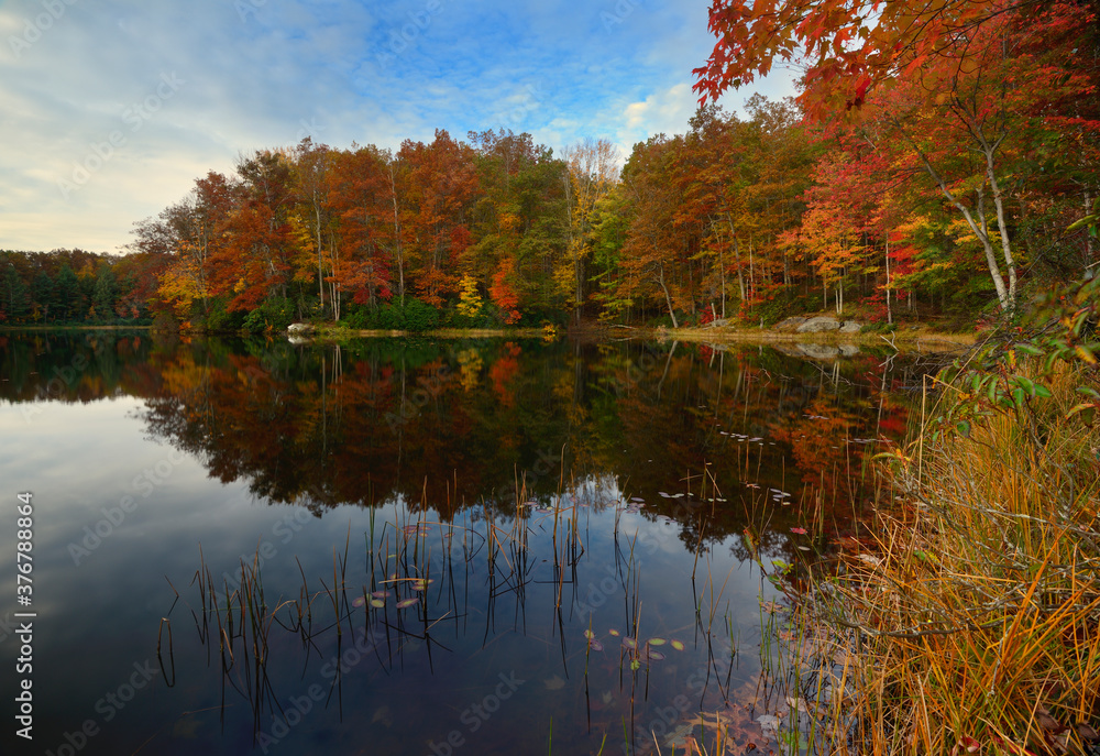 Forest reflecting in Boley Lake during autumn in Babcock State Park Forest reflecting in Boley Lake during autumn in Babcock State Park
