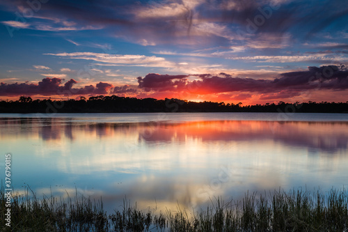 Wallpaper Mural Scenic view of lake in George LeStrange Preserve during sunset Torontodigital.ca