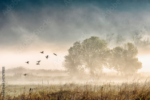 View of grassy landscape against sky during sunrise