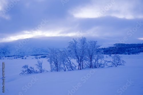 Wallpaper Mural View of Dividal and Rohkunborri National Parks, Norway Torontodigital.ca