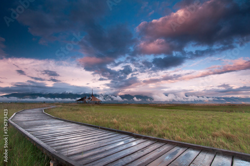 View of boardwalk passing amidst grassy landscape photo