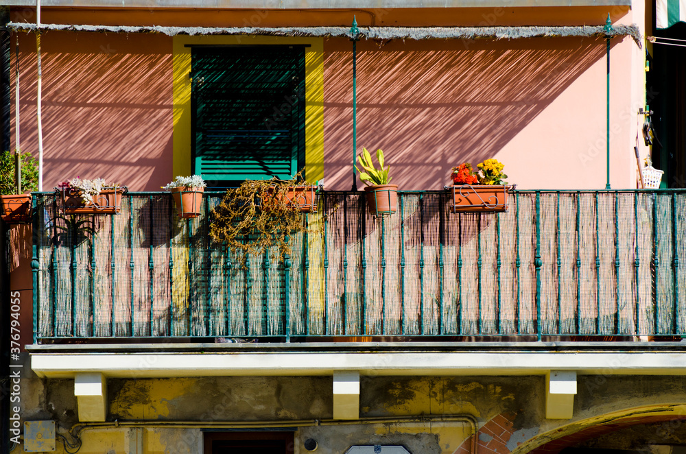 Pots plants hanging on balcony railing Pots plants hanging on balcony railing