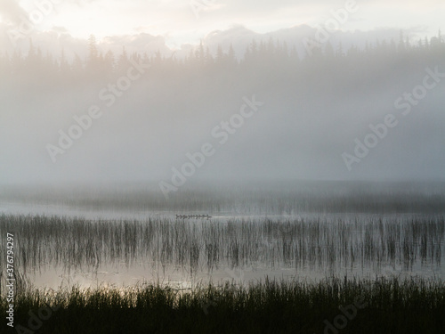 Scenic view of foggy marsh along Pacific Crest Trail photo
