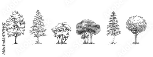 Forest park trees icons set. Outline hand drawn set of forest park trees vector icons for web design isolated on white background