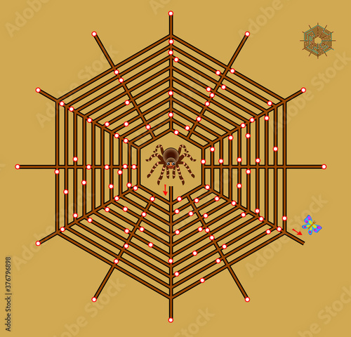 Logic puzzle game with labyrinth for children and adults. Help the spider find the way in a web till the butterfly. Worksheet for kids brain teaser book. IQ test. Online playing.