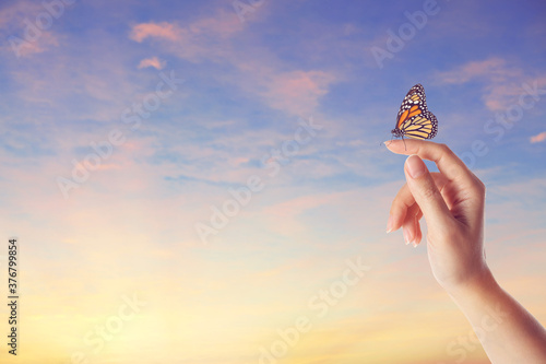 Photography Woman holding beautiful monarch butterfly against sunset sky, closeup