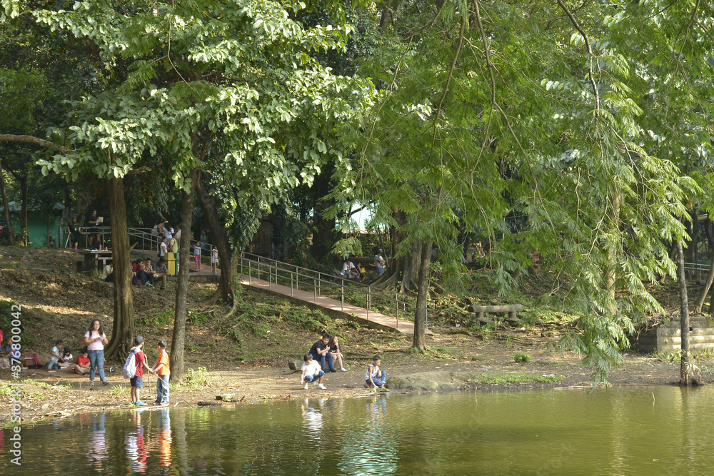 Ninoy Aquino parks and wildlife water lagoon in Quezon City, Philippines Ninoy Aquino parks and wildlife water lagoon in Quezon City, Philippines