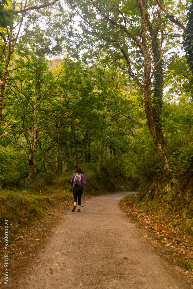 young woman hiking in mountain forest young woman hiking in mountain forest
