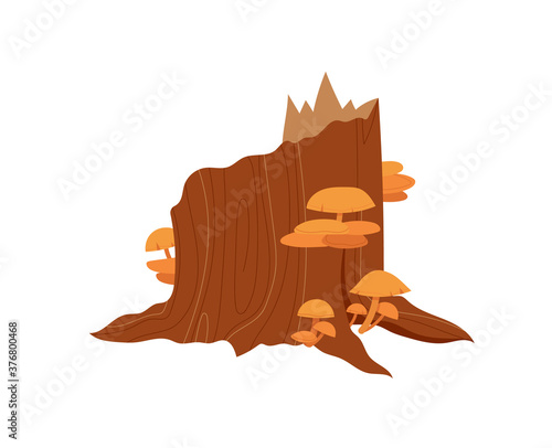 Mushroom growing stump, tree nature, cartoon art, edible boletus, isolated on white, design, flat style vector illustration. Element forest, brown fresh wild fungus, boletus delicious background.
