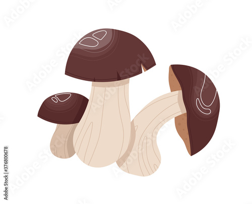 Mushroom plant, healthy food, organic ingredient fresh, natural diet isolated on white, design, flat style vector illustration. Delicious nature, breakfast nutritious champignons, autumn freshness.