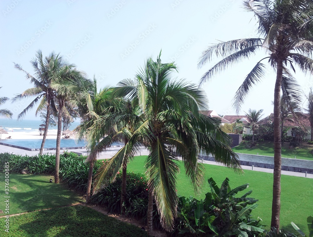 Obraz premium palm trees on the beach in miami