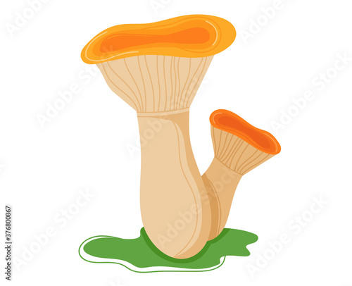 Mushroom forest, autumn food, fungus collection, white darner ingredient isolated on white, design, flat style vector illustration. Season organic chanterelle, edible fresh raw material, wild harvest.