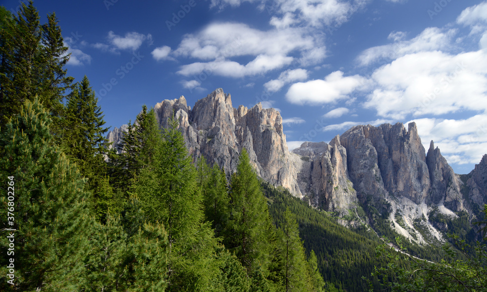 View of the Italian Dolomite mountains framed by pine trees and blue sky on a beautiful sunny day