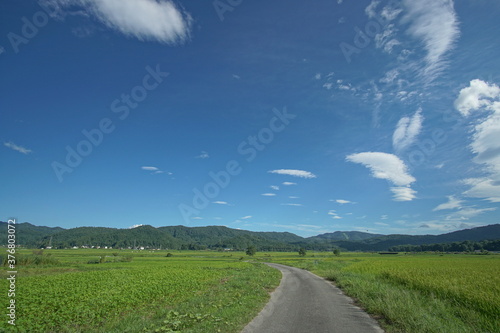 Typical landscape in countryside of Japan  Northern Alps  Hakuba