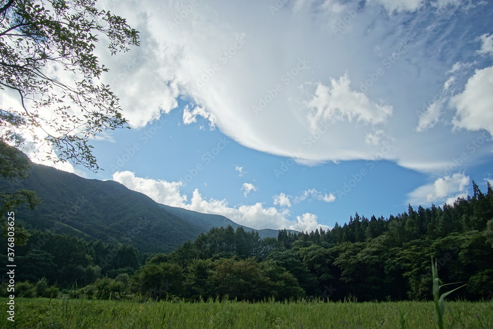Nature park in Japanese Northern Alps, Hakuba, Japan.