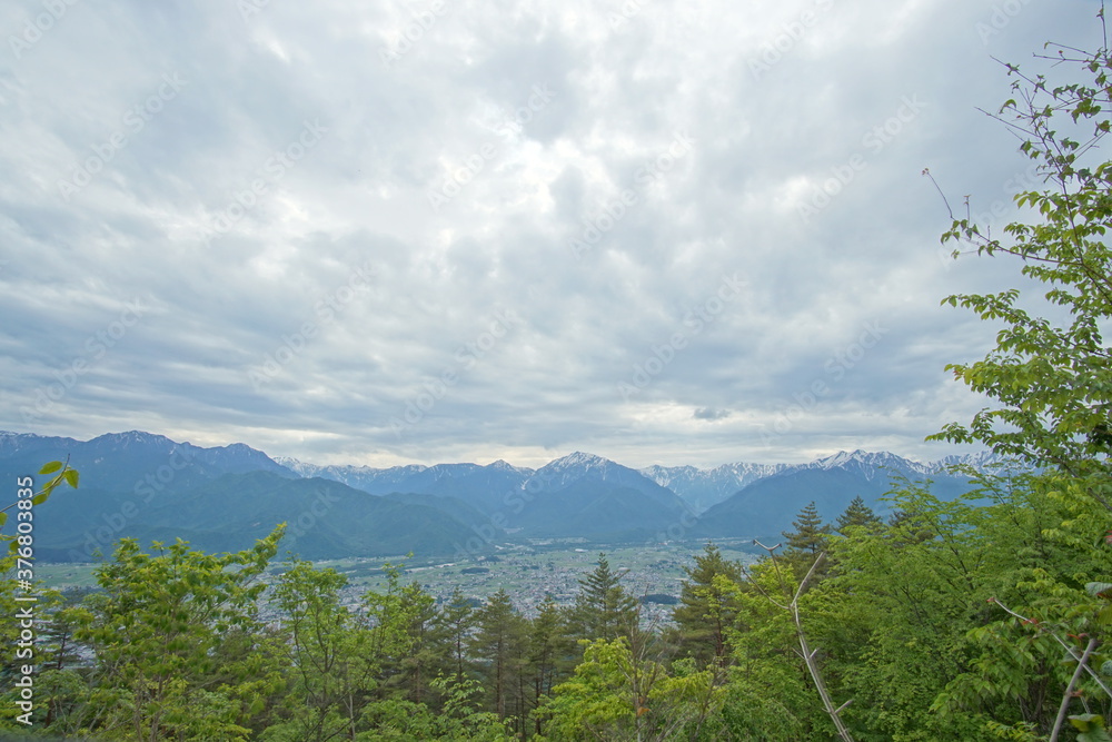 Beautiful forest and nature in countryside. Hakuba, Japan