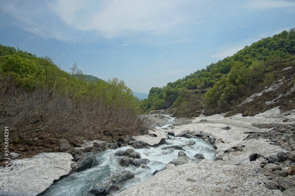 Beautiful forest and nature in countryside. Hakuba, Japan Beautiful forest and nature in countryside. Hakuba, Japan
