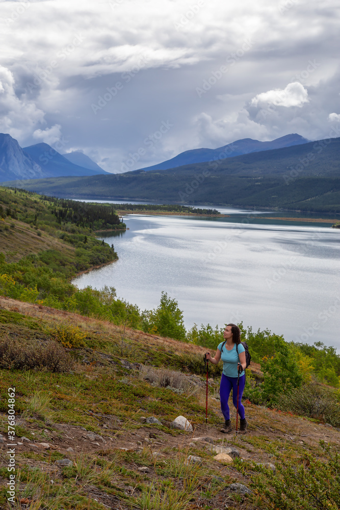 Fototapeta premium Adventurous Girl Hiking up the Nares Mountain during a cloudy and sunny evening. Taken at Carcross, near Whitehorse, Yukon, Canada.