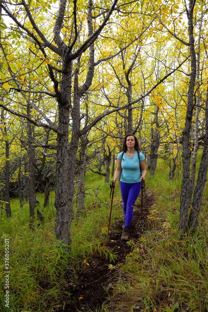 Adventurous Caucasian Girl Hiking up in the beautiful forest up a mountain during fall season. Taken near Whitehorse, Yukon, Canada. Adventurous Caucasian Girl Hiking up in the beautiful forest up a mountain during fall season. Taken near Whitehorse, Yukon, Canada.