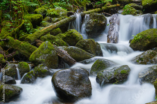 waterfall in the forest