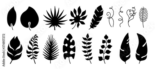 Exotic leaves black silhouette set. Tropical foliage, monochrome plants. Palm, branches and wild leaf collection. Hawaiian hand drawn jungle. Vector illustration on white background