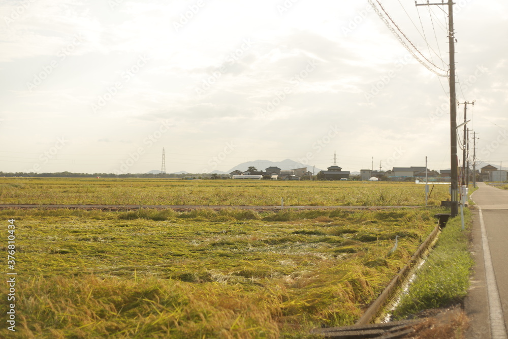 田舎 田舎