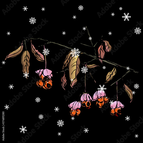 Branch of spindle tree with leaves and berries under snowflakes. Euonymus plant. Hand drawn colorful sketch.
