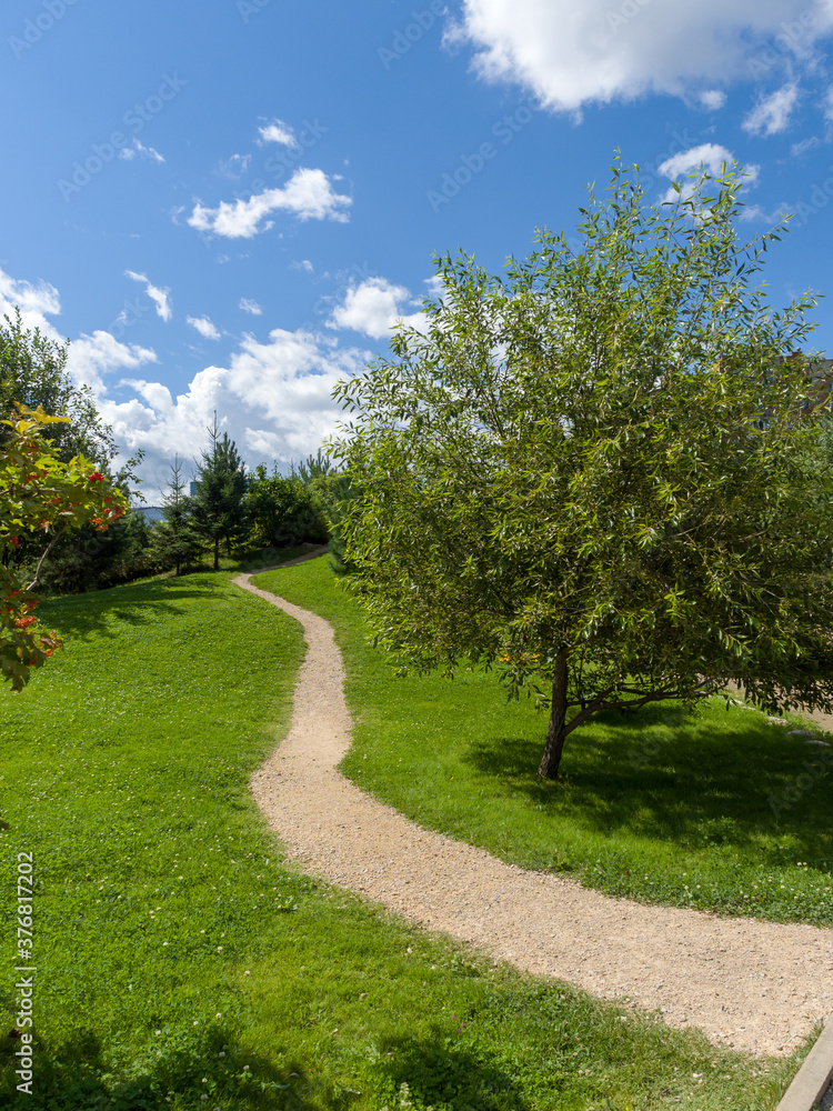The path in the garden park. Landscaping. Summer sunny day