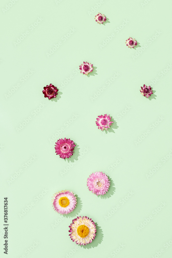 Close-up bud of dry colorful flowers, small blossoms on green. Natural flowery background Close-up bud of dry colorful flowers, small blossoms on green. Natural flowery background