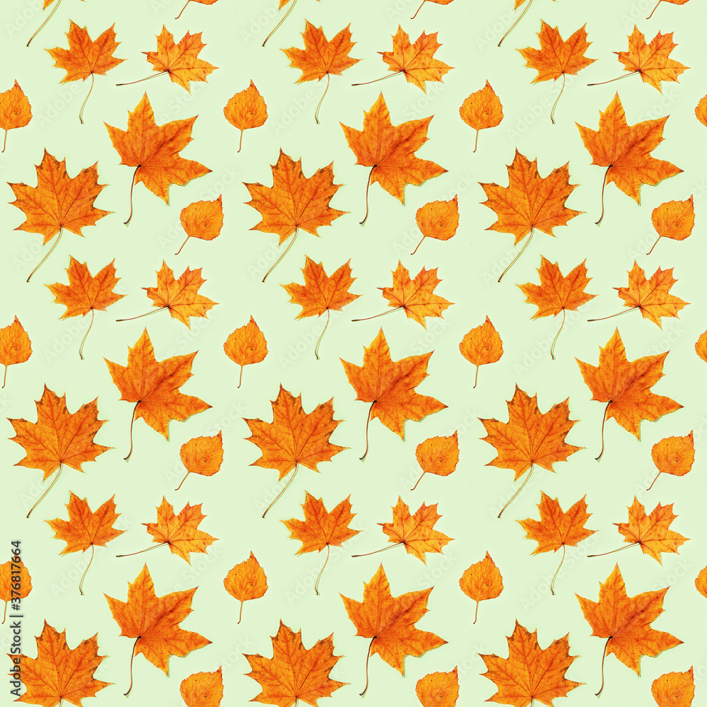 Seamless pattern from made of dry autumn leaves. Autumn print for fabric, wrapping paper. Seamless pattern from made of dry autumn leaves. Autumn print for fabric, wrapping paper.