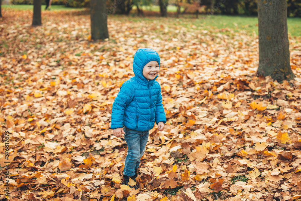 Lovely young boy in blue clothes is walking in golden leaves and smiling at somebody during an autumn day in park Lovely young boy in blue clothes is walking in golden leaves and smiling at somebody during an autumn day in park