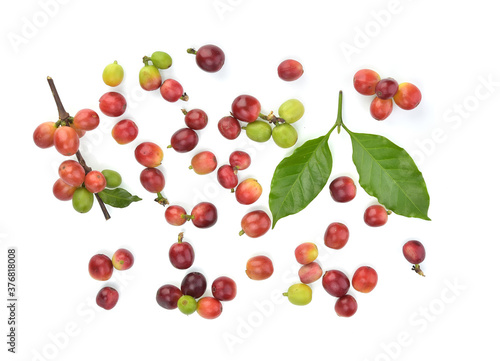 Top view of Coffee beans and coffee leves isolated on white background