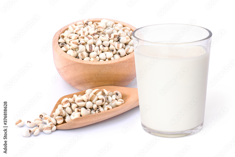 Adlay Millet milk