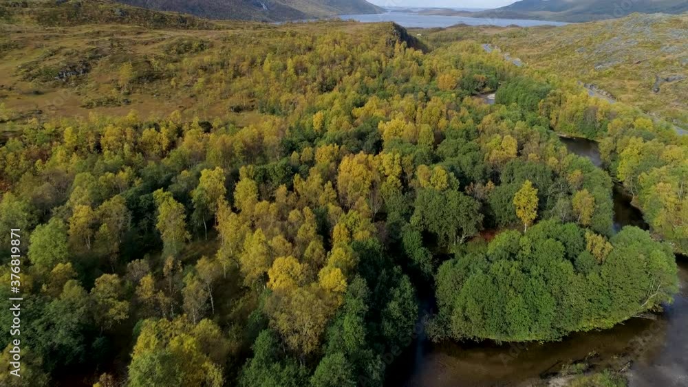 Aerial view above the Botnelva river, over foliage forest revealing the road 86 and mountains, partly sunny, fall day, near Skaland, in Senja, Norway - Tilt up, drone shot Aerial view above the Botnelva river, over foliage forest revealing the road 86 and mountains, partly sunny, fall day, near Skaland, in Senja, Norway - Tilt up, drone shot