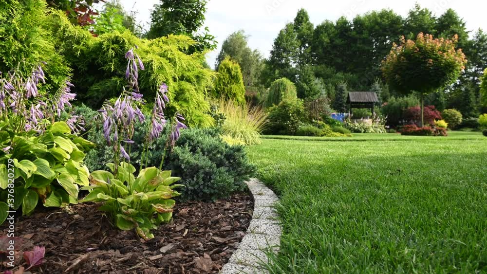 Summer Private Garden With Winding Grass Lawn And Abundance Of Plants Shrubs And Trees. Beautiful Ornamental Garden. Summer Private Garden With Winding Grass Lawn And Abundance Of Plants Shrubs And Trees. Beautiful Ornamental Garden.