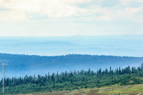 View of the valleys and the forest