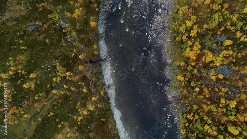 Aerial view rising above rapids in middle of fall color, foliage forest, dark, overcast, autumn day, in Finnmark, Nordland, Norway - top down, drone shot photo