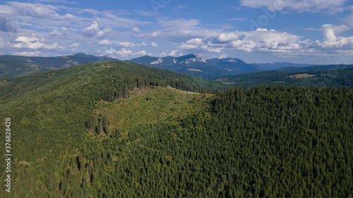 Wooded hills with deforested pine forests