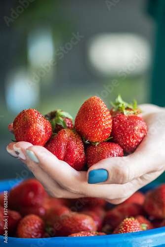 A bucket of ripe delicious ...