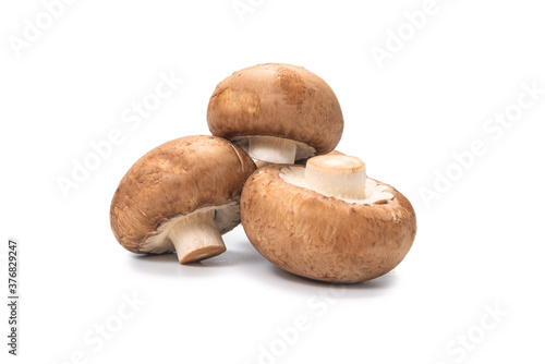 Tasty mushroom isolated on white background.