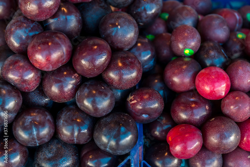 Farm fresh juicy summer plums. Fresh ripe plums placed on table in market. Organic red plums fruit in pile at local farmers market. 