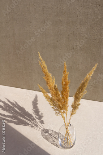 dried flowers in a glass vase on a white and gray concrete background