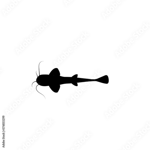 catfish vector