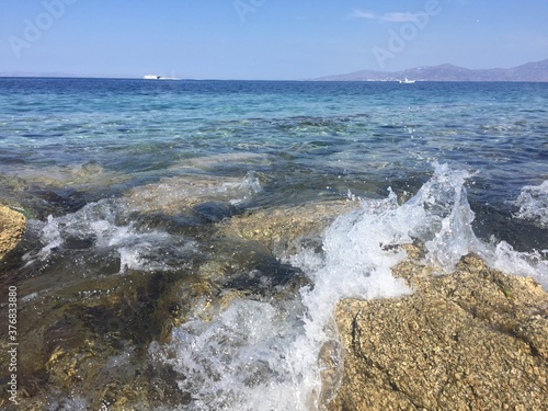 Lively Waters