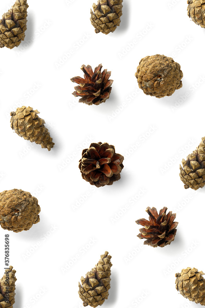 Pine cone Christmas background on white. Pine branches and cones. minimal creative cone arrangement pattern. flat lay, Modern christmas Background. Pine cone Christmas background on white. Pine branches and cones. minimal creative cone arrangement pattern. flat lay, Modern christmas Background.