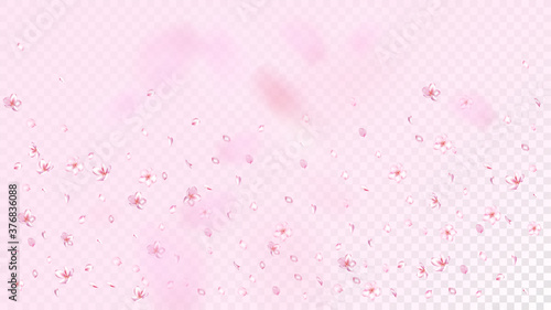 Nice Sakura Blossom Isolated Vector. Magic Blowing 3d Petals Wedding Design. Japanese Blurred Flowers Illustration. Valentine, Mother's Day Spring Nice Sakura Blossom Isolated on Rose