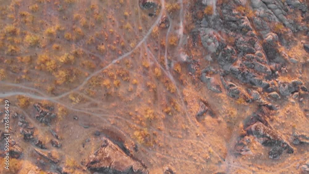 Aerial images over a dry riverbed. A lonely tree is the last witness to what was once a lake and is now a desert. Aerial images over a dry riverbed. A lonely tree is the last witness to what was once a lake and is now a desert.